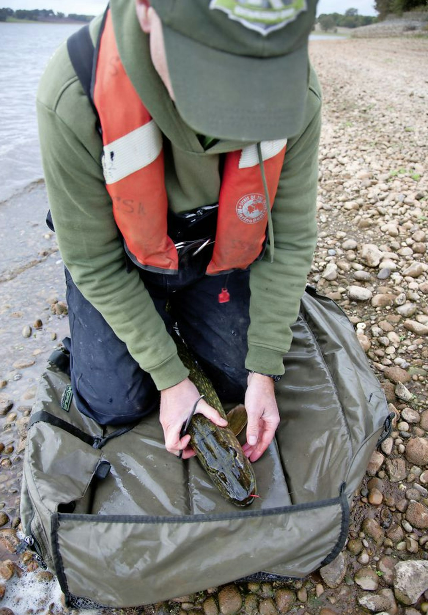 Place the pike on a padded unhooking mat, making sure its fins are flush to its body, and gently sit astride it to stop it thrashing about