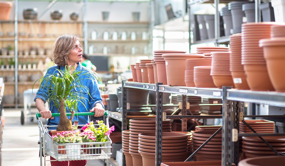 The best garden centres UK for a fun day out Leisure Yours