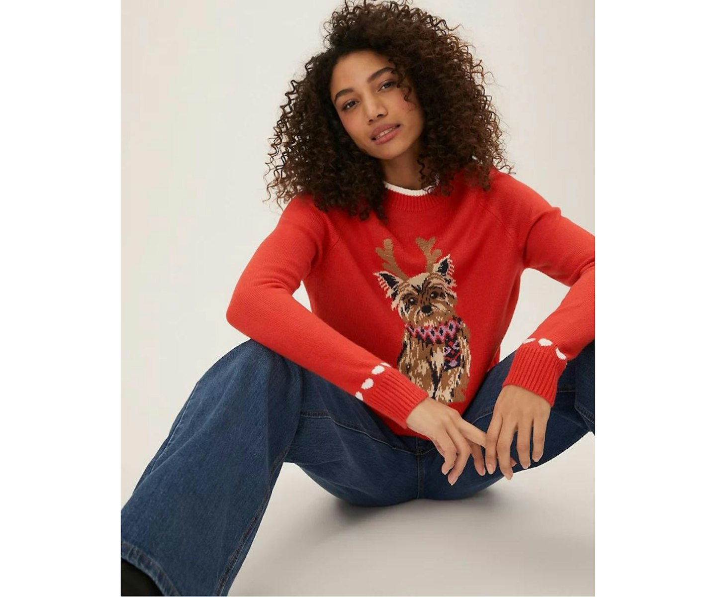 Supersoft Christmas Dog Print Jumper