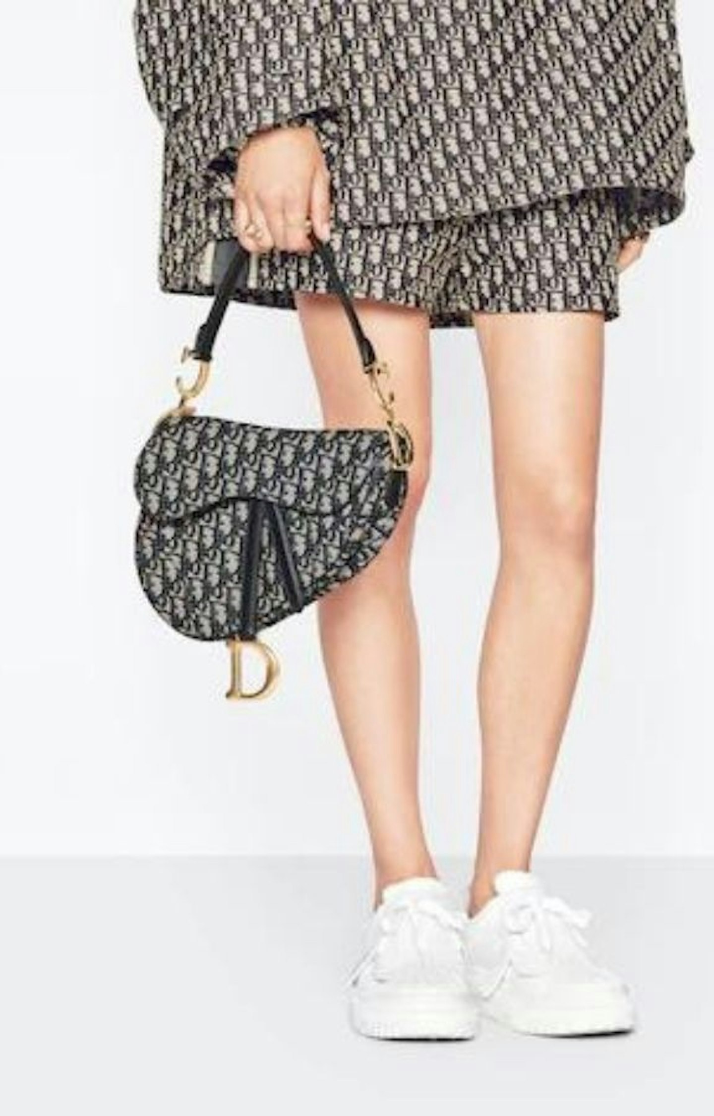 Dior Saddle Bag