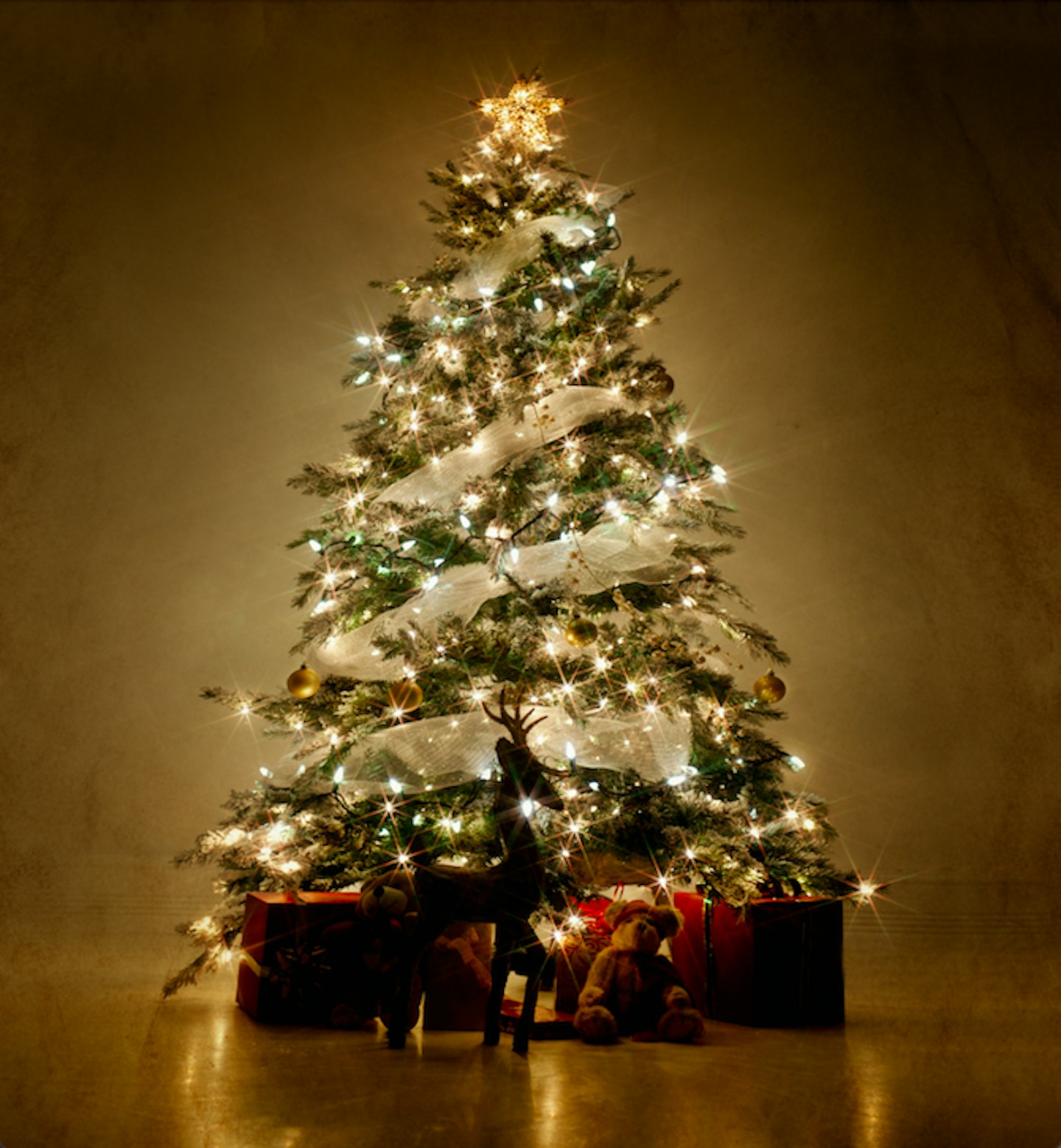 Christmas-tree-tips