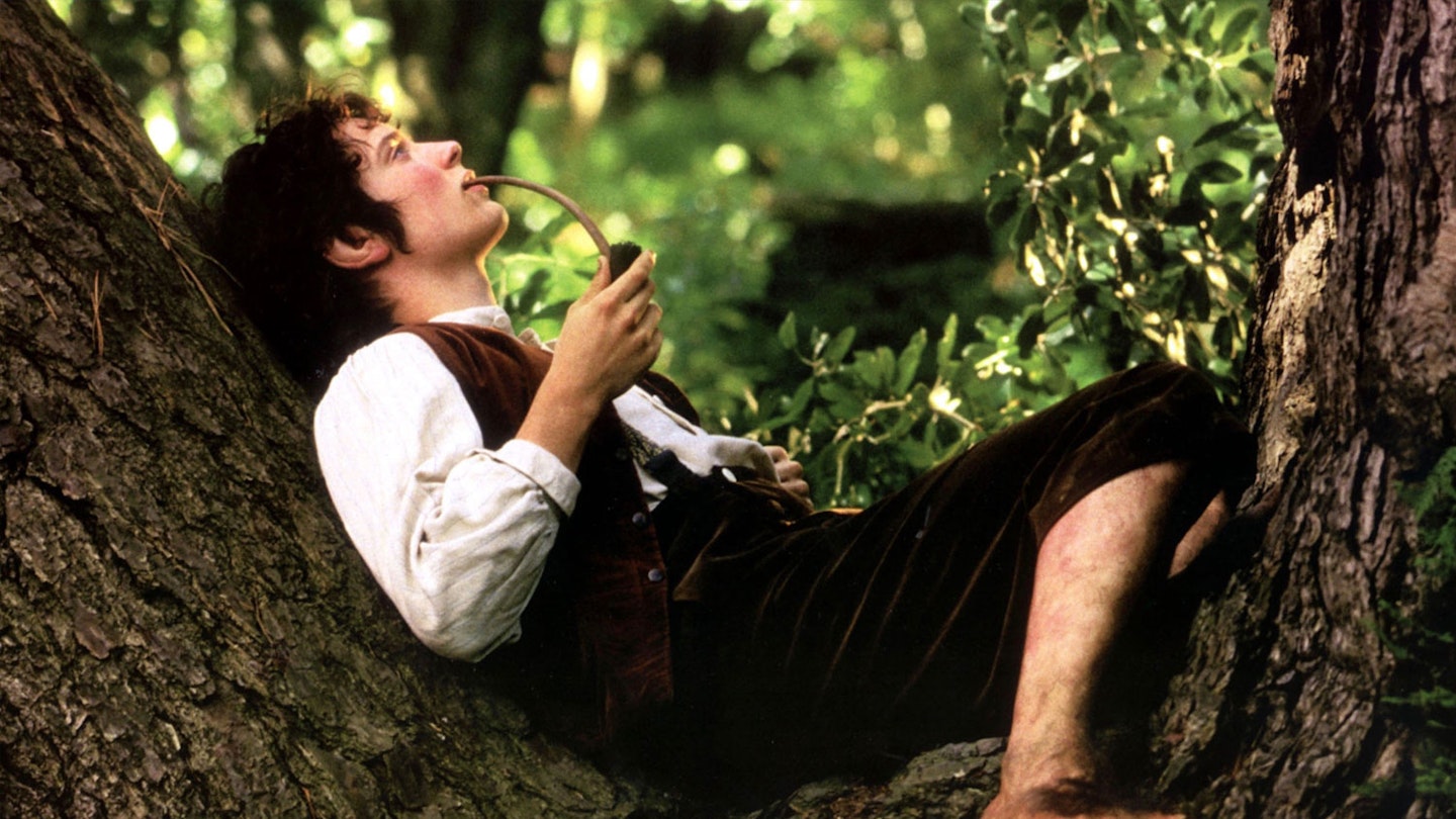 Lord Of The Rings: The Fellowship Of The Ring