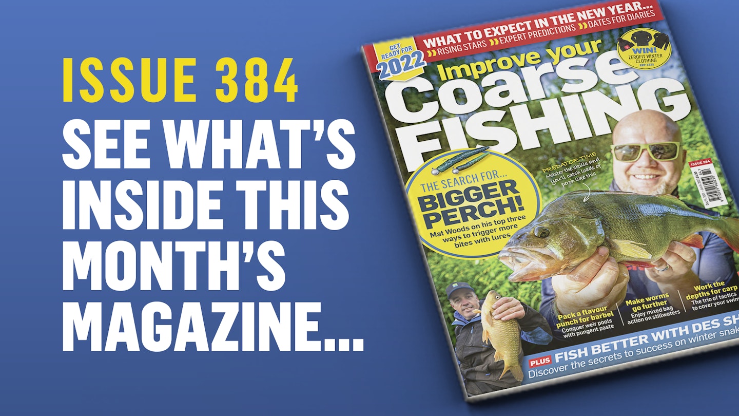 Preview the issue 384