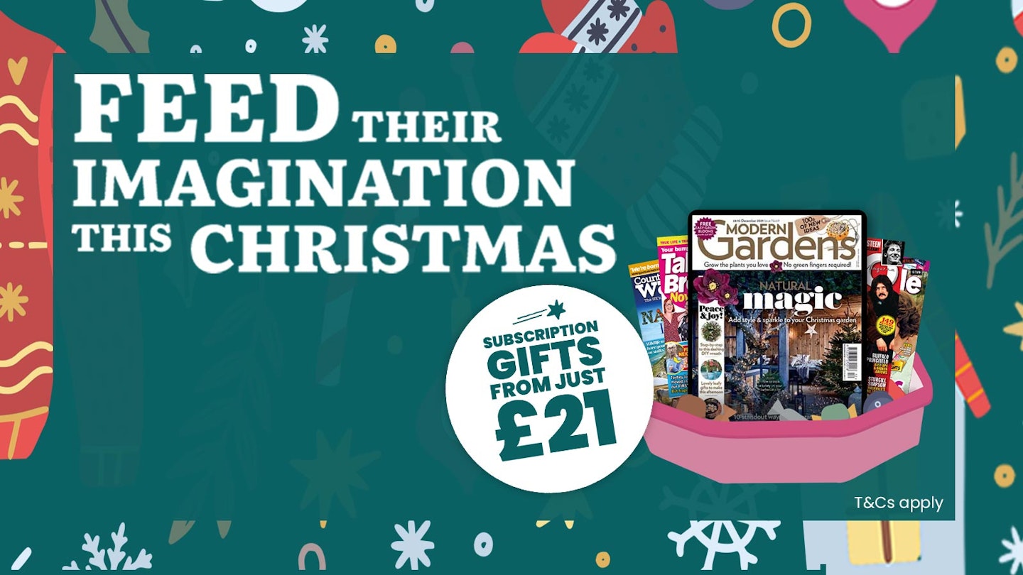 MG xmas subs