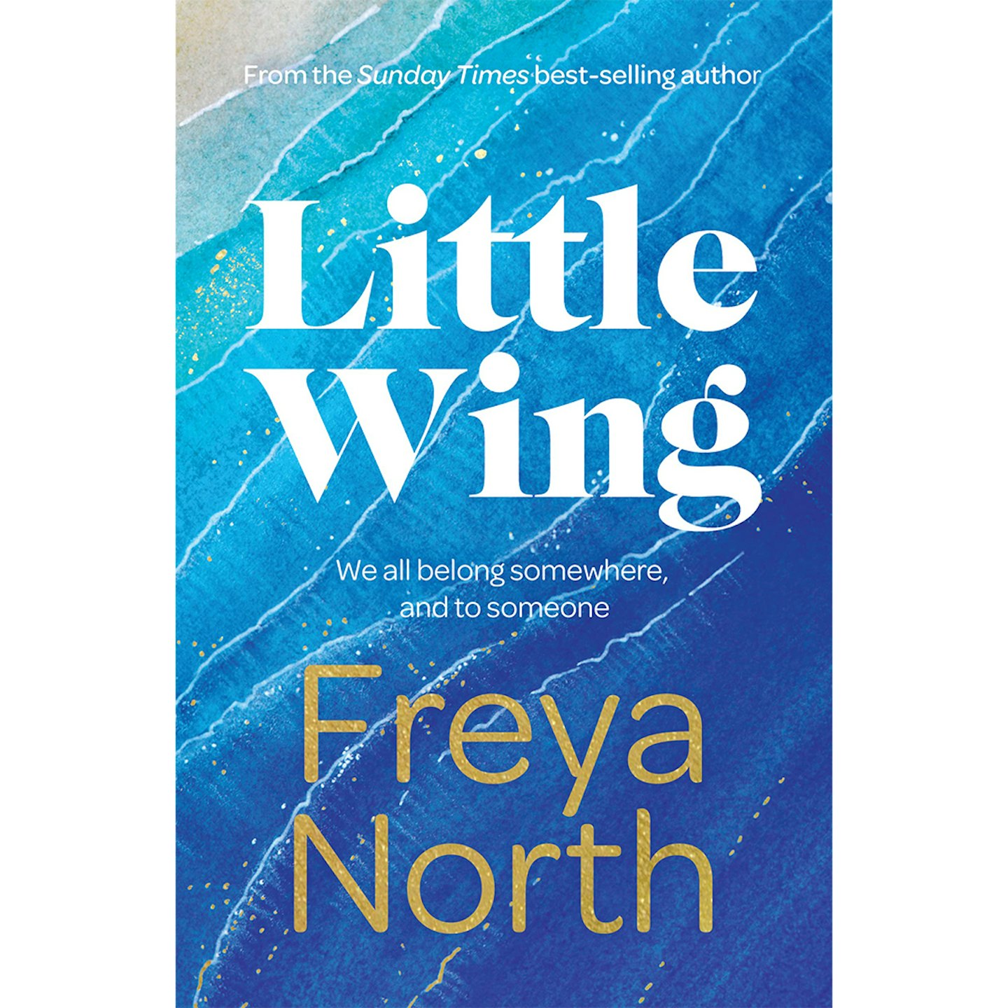 Little Wing by Freya North