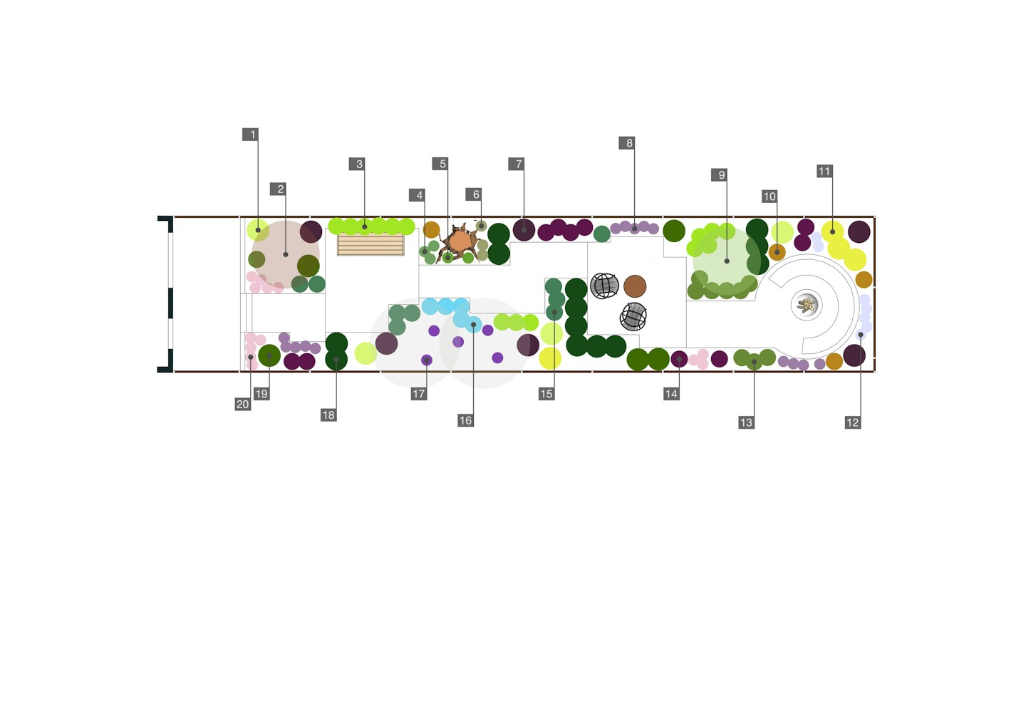 Planting plan for long thin garden under conifer hedge