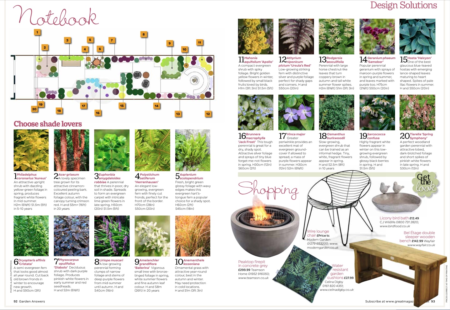 Plant list for dry shady garden under conifers