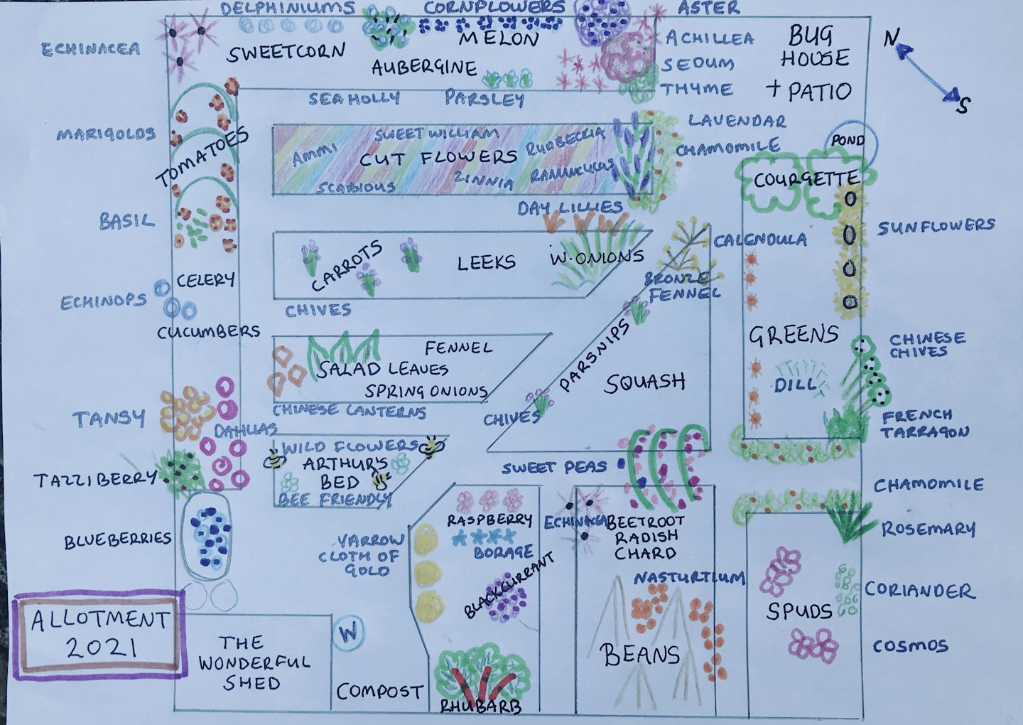 Jenny's allotment plans 2021