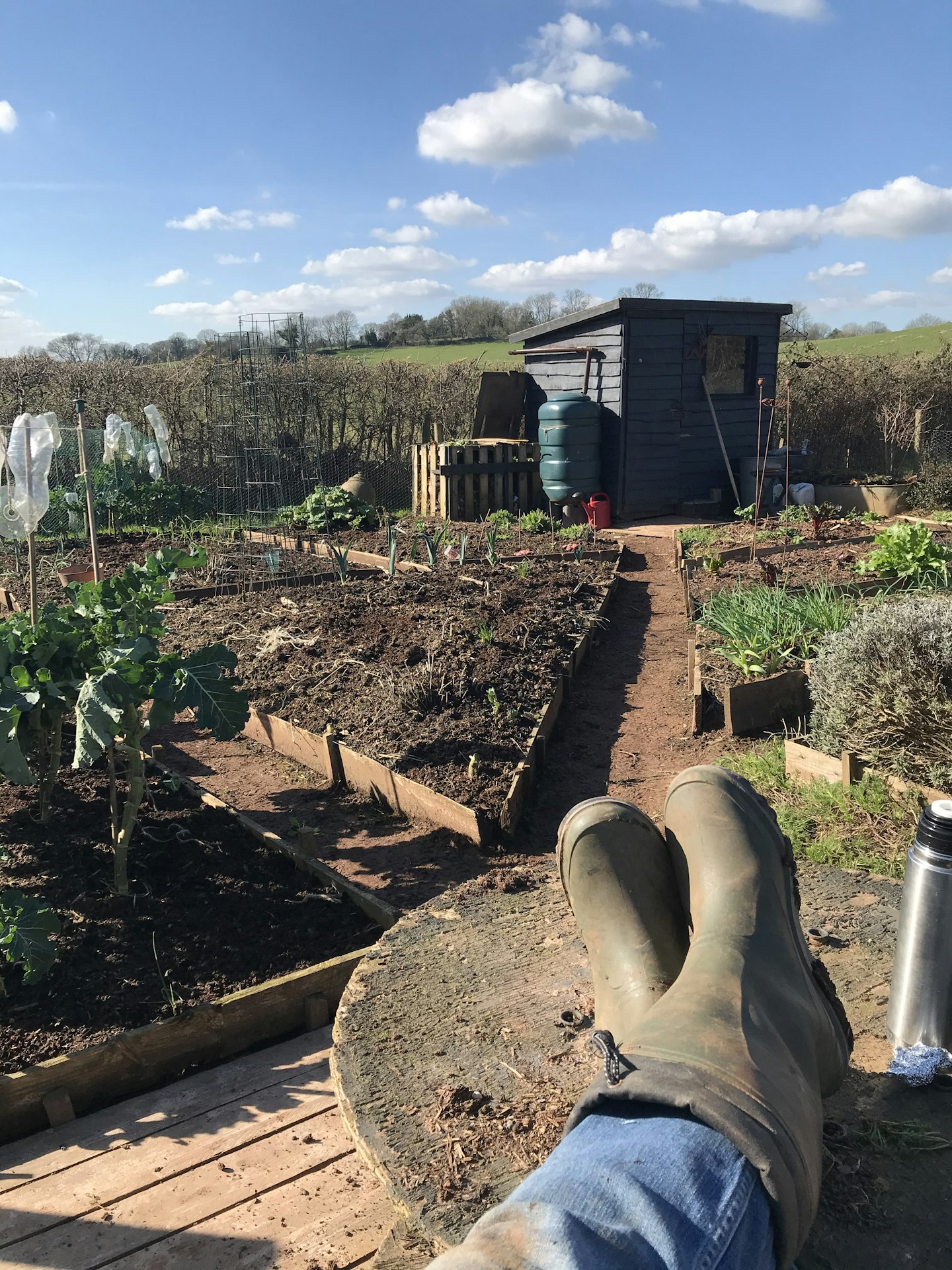 @Organic_allotment_girl puts her feet up