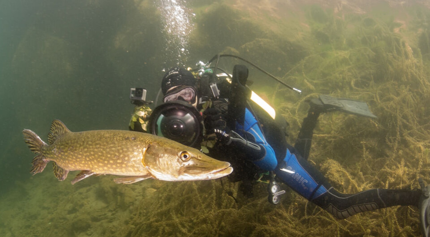 Underwater film-maker, Jack Perks, thanked generous anglers who donated over £30,000 to help him create a cinematic-standard movie called ‘Britain’s Hidden Fishes’