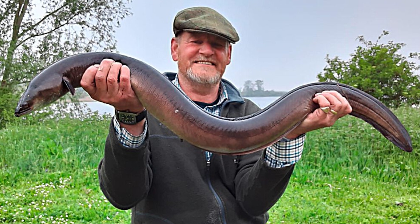 An immense eel of 7lb 4oz