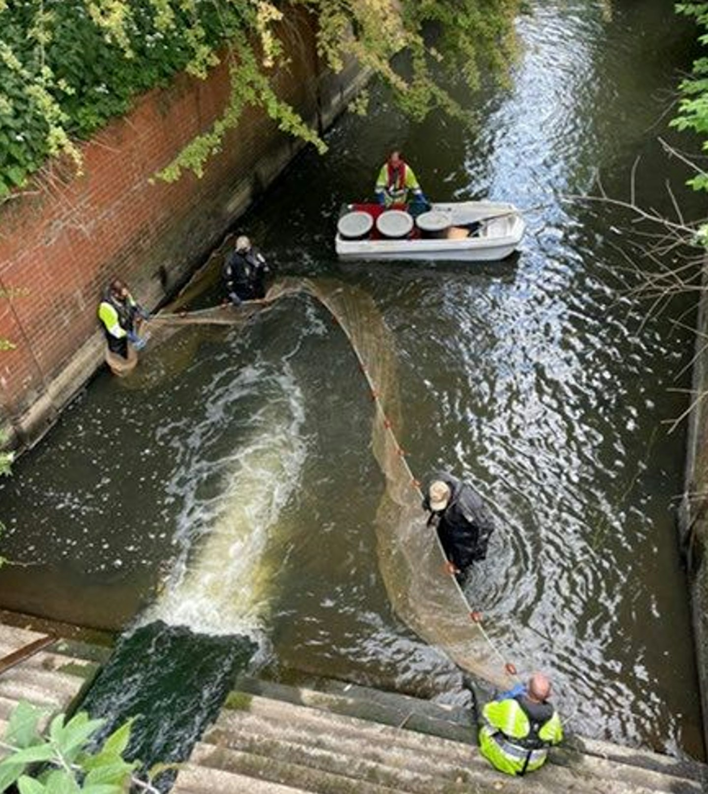 Fishery officers from the EA carried out a rapid rescue at one of the North West’s most popular bream waters