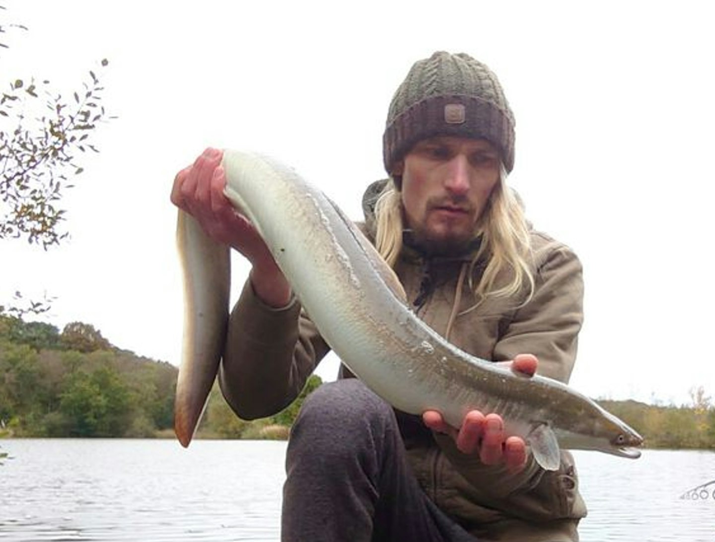 The 7lb 3oz eel which picked up Devon angler Peter Lilley’s boilie hookbait