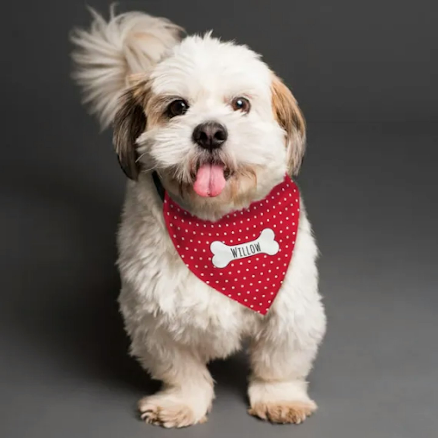 Personalised Red Spot Dog Bandana