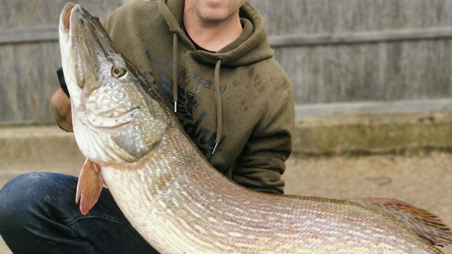 33lb pike in 30-minute session!