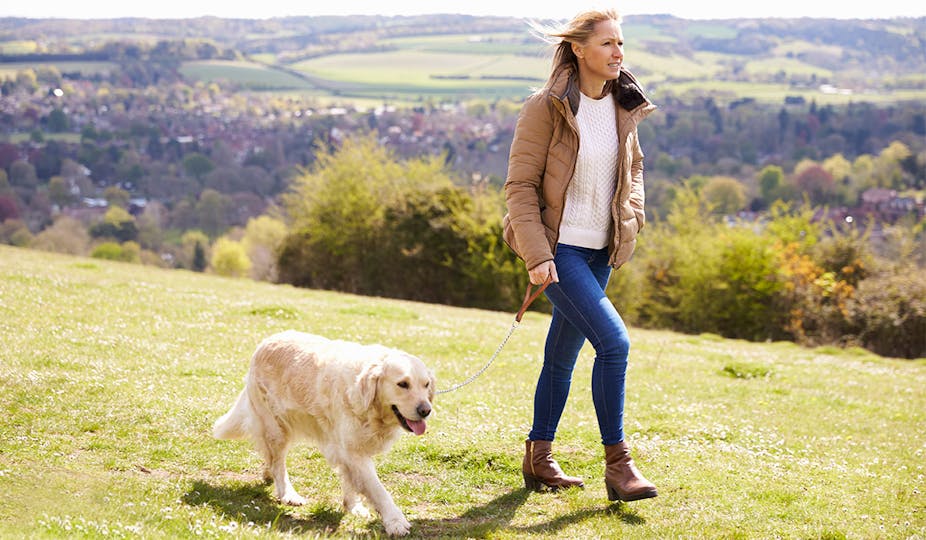 How to find the best dog walks near me Leisure Yours