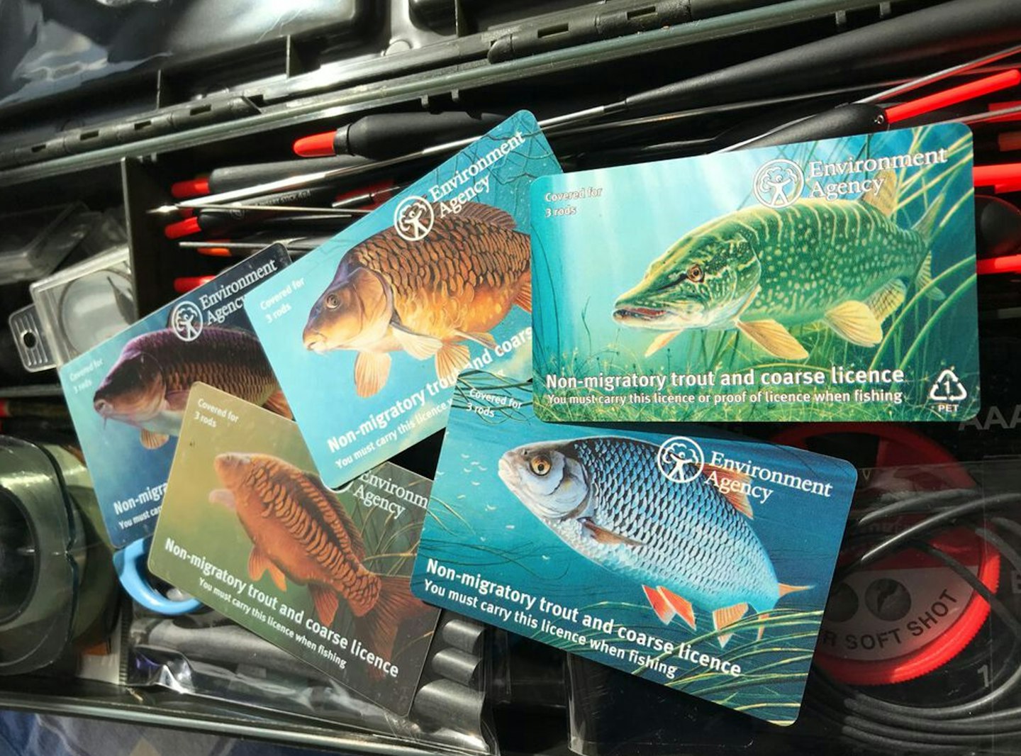 In the year to the end of June 2021 there was a 17 per cent increase in rod licence sales