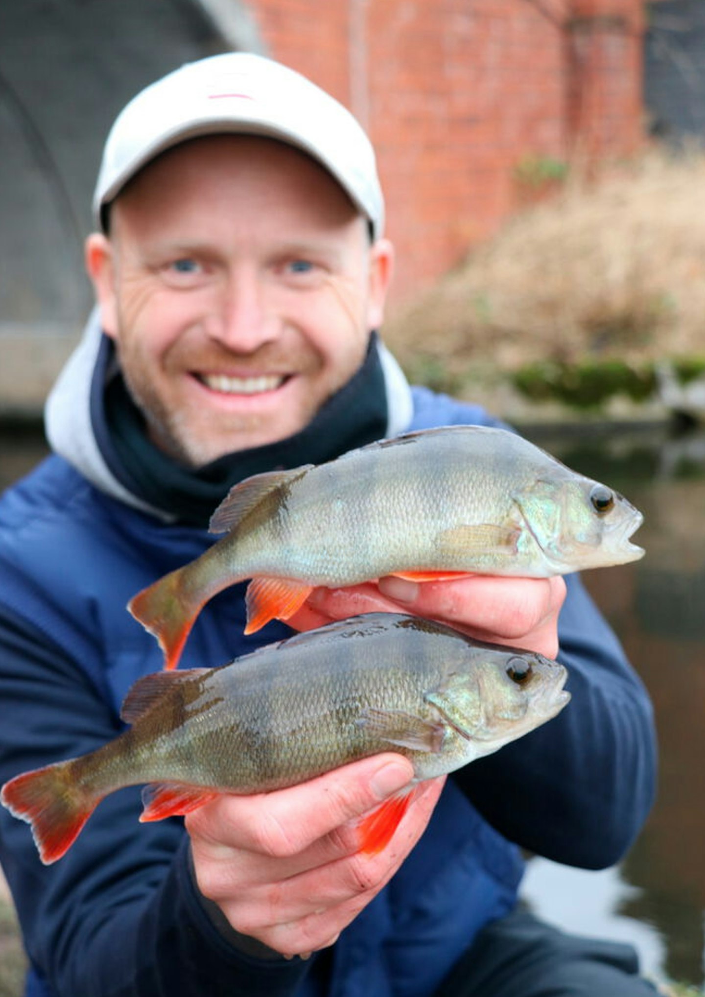 Perch are great fun to catch on light lure tactics