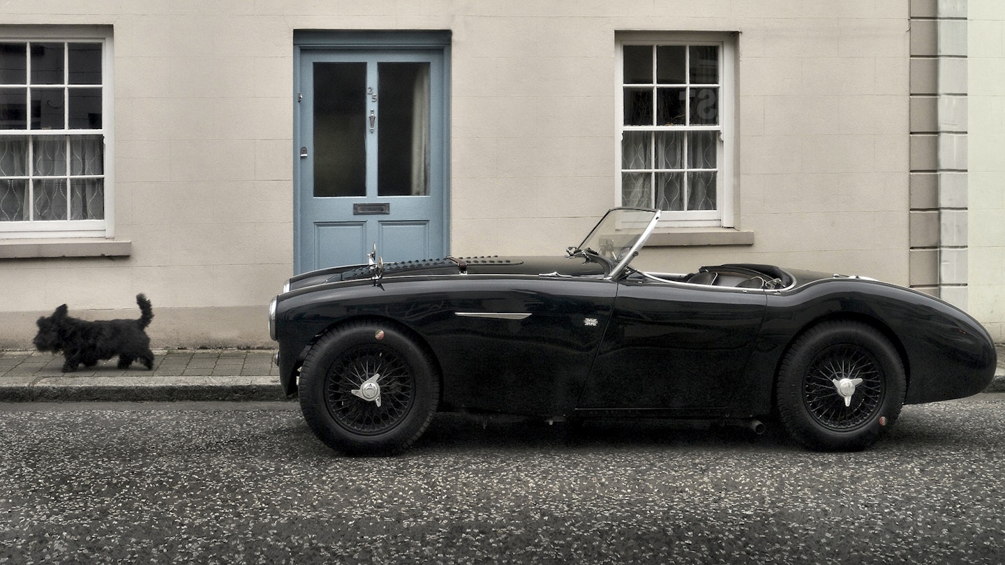 Healey9