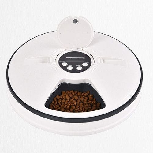 Cat timer clearance feeder argos