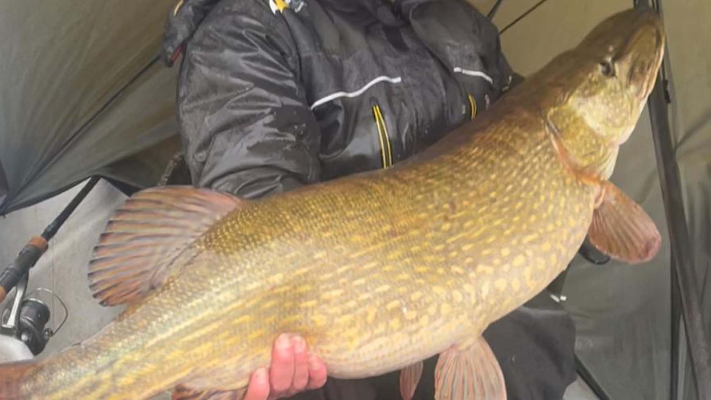 It's thirty-pound pike galore in Ireland!
