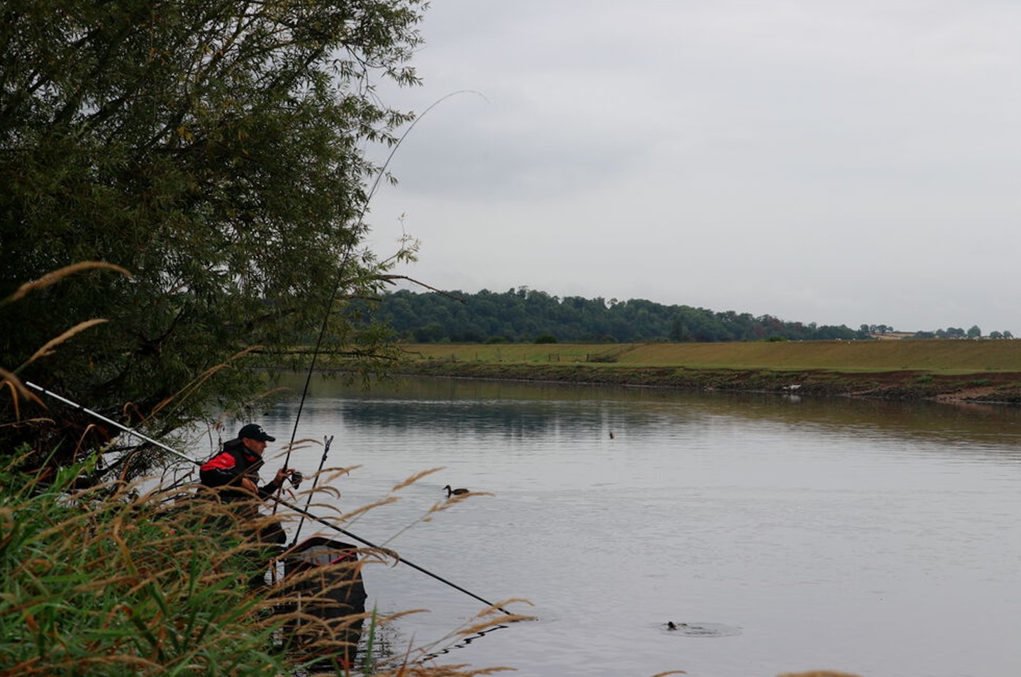 Angling Trust RiverFest