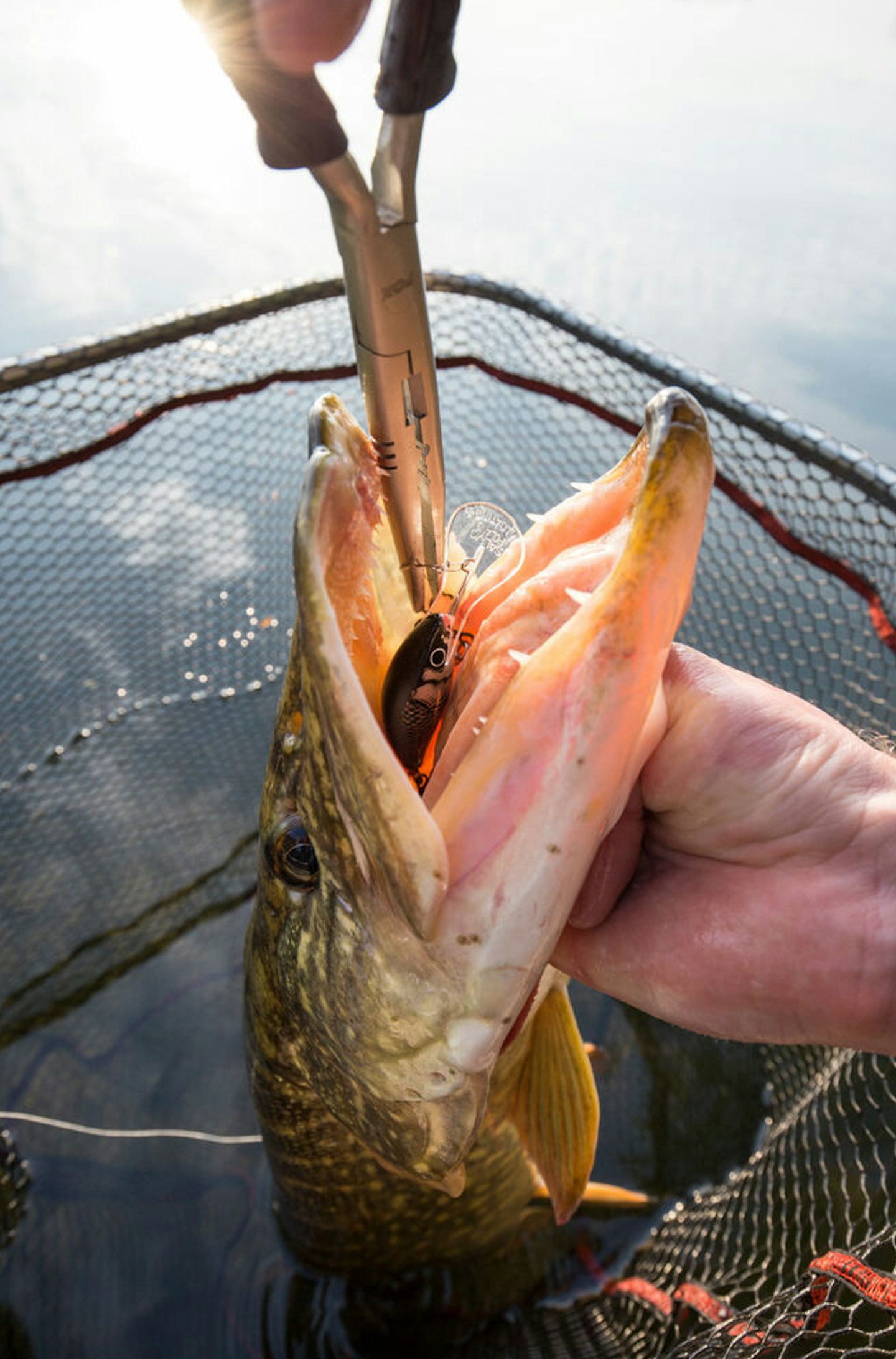 Shaping Up for Spring Crankbaits - In-Fisherman