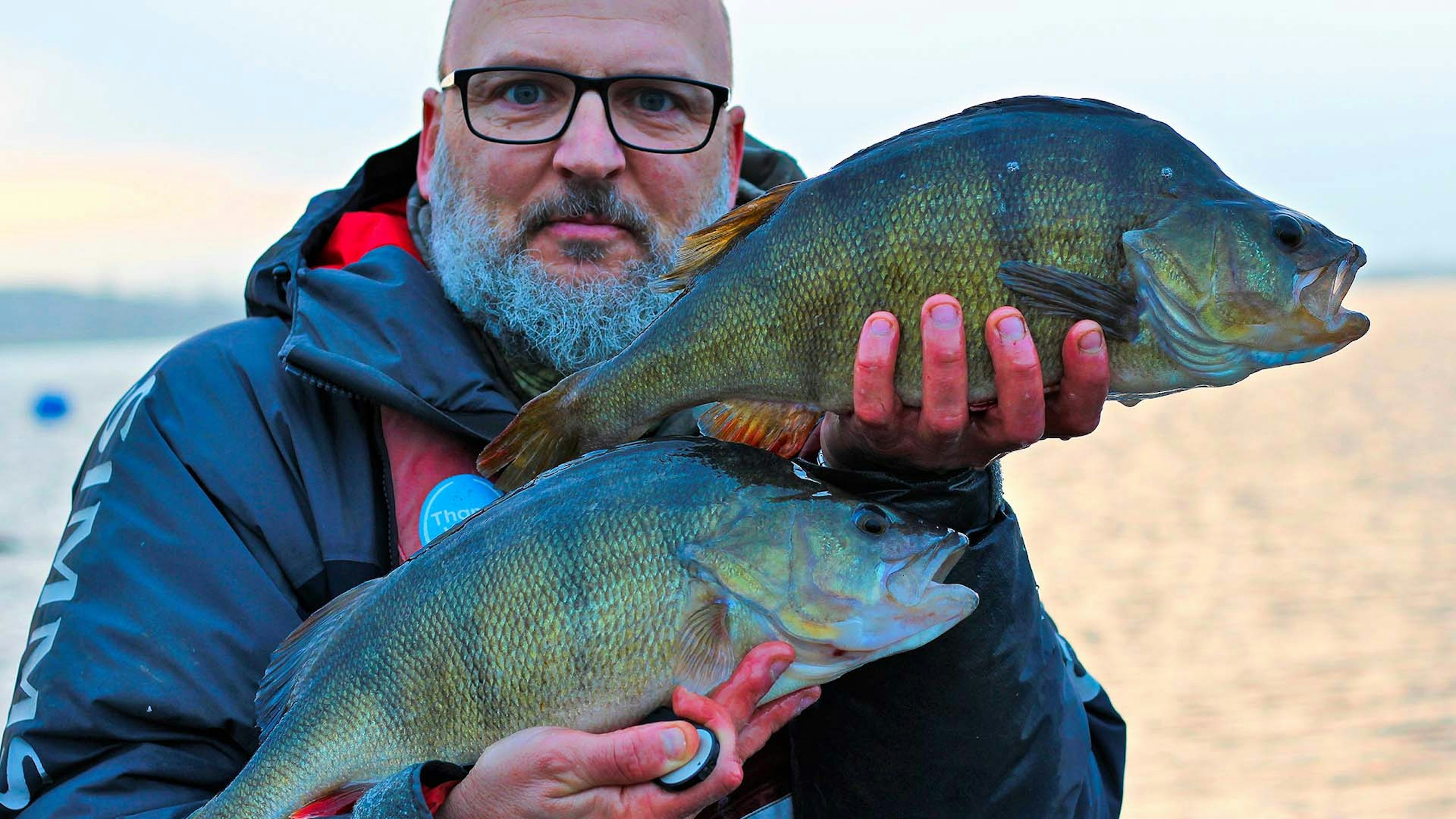 Monster perch brace from newly-bought boat