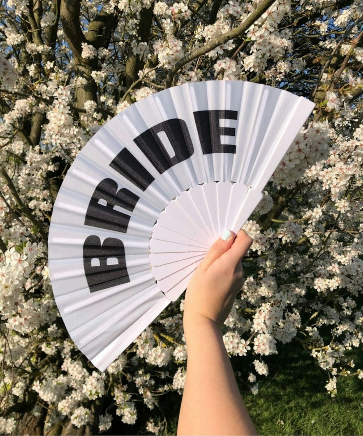 Bridal fan