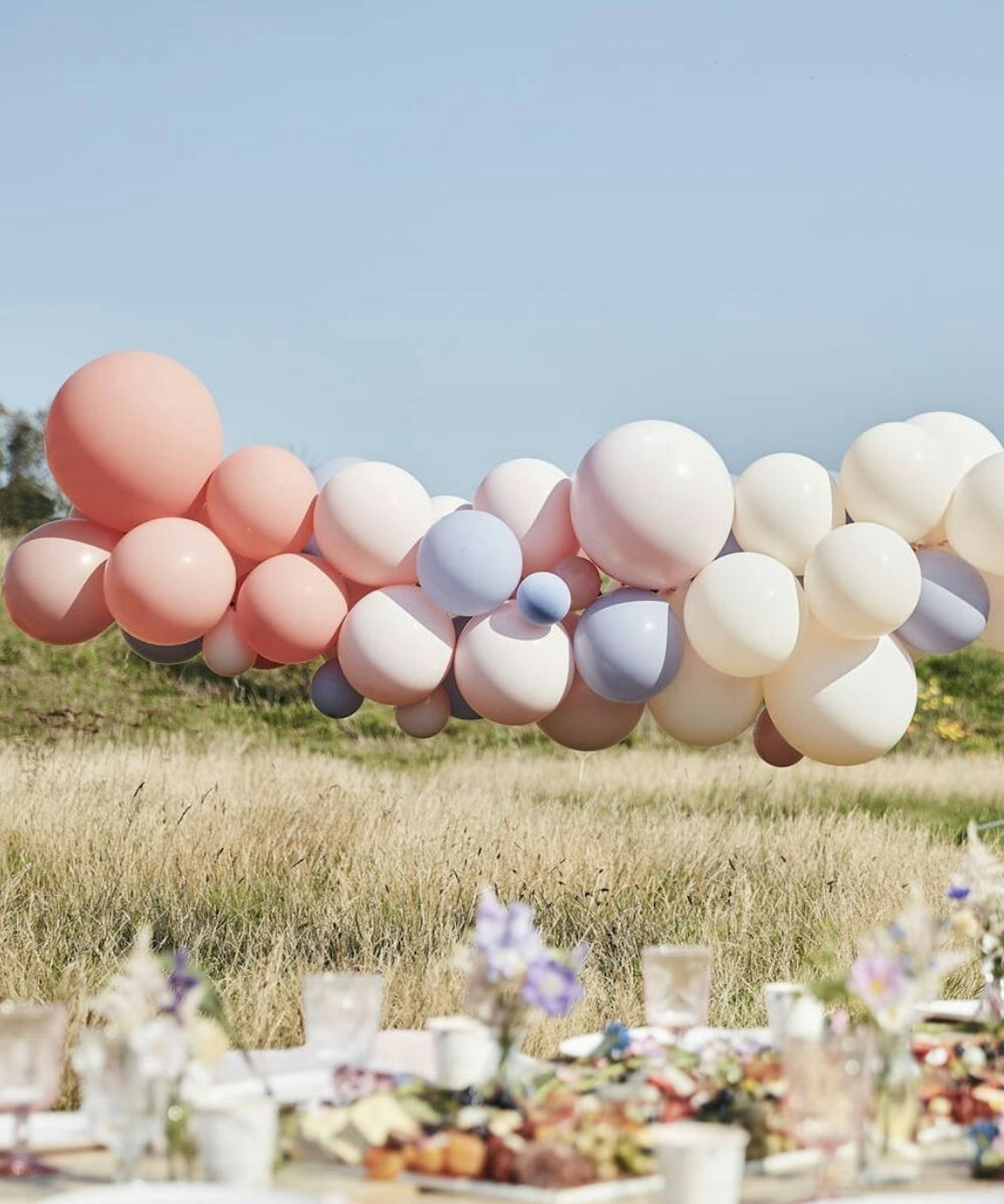 Blush, Nude And Blue Hen Party Balloon Arch Kit