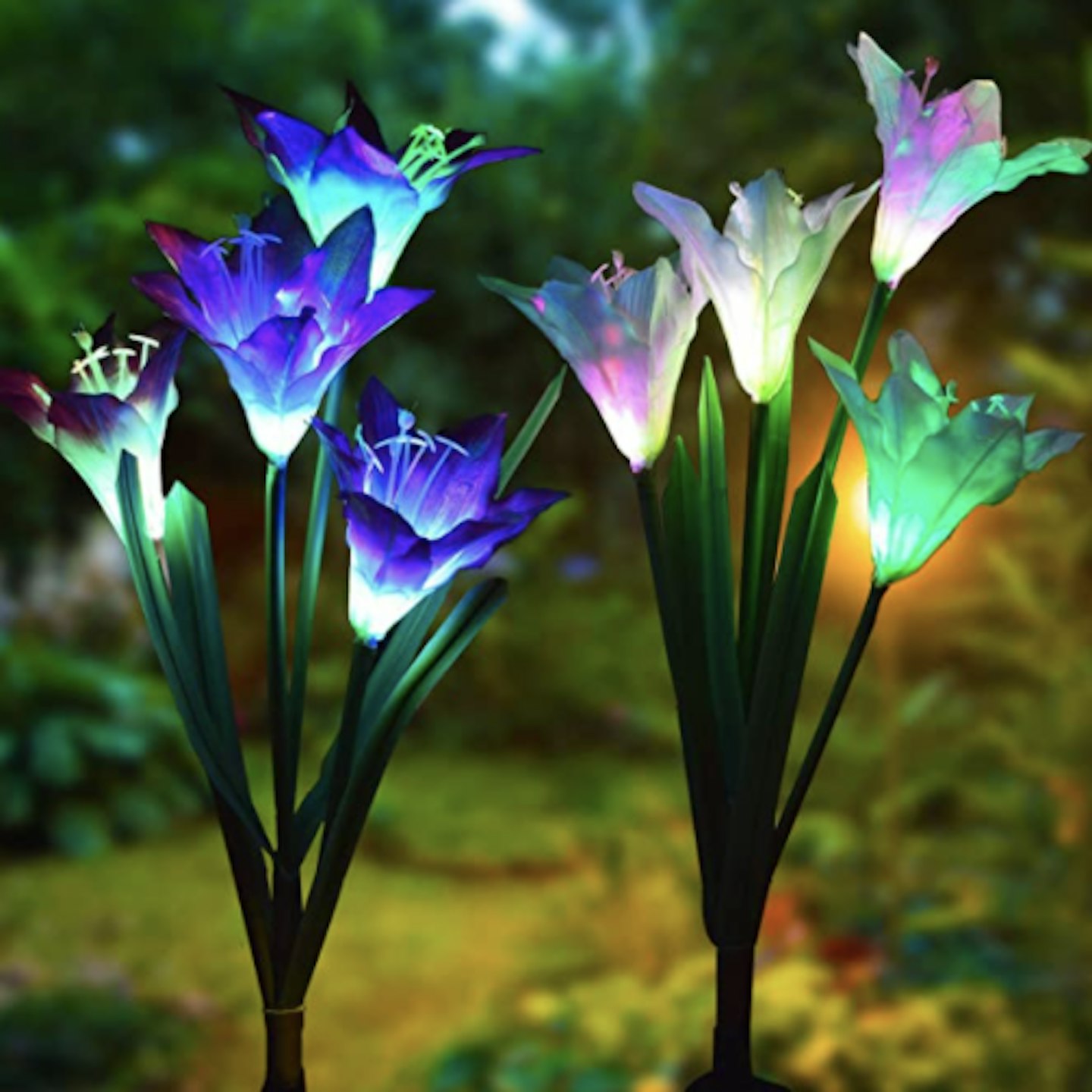 LED Solar Lily Flower Lights 2 Pack 8-Head