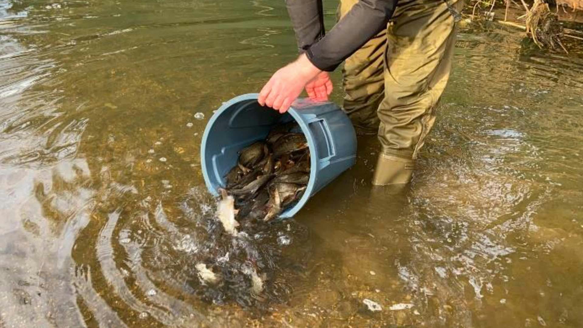 East Anglian rivers receive a boost