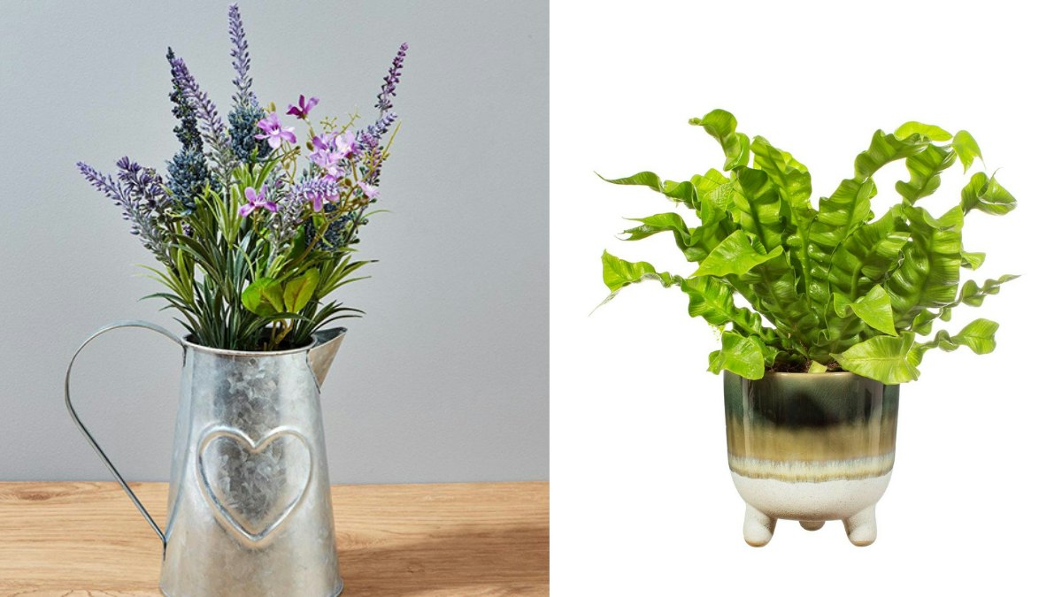 The best Morrisons plants and homeware to transform your space