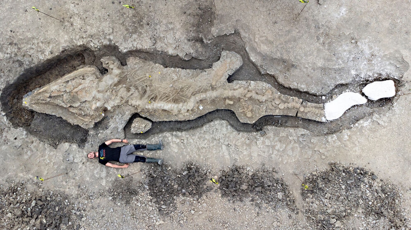 The giant Rutland Water ichthyosaur measures 30ft long