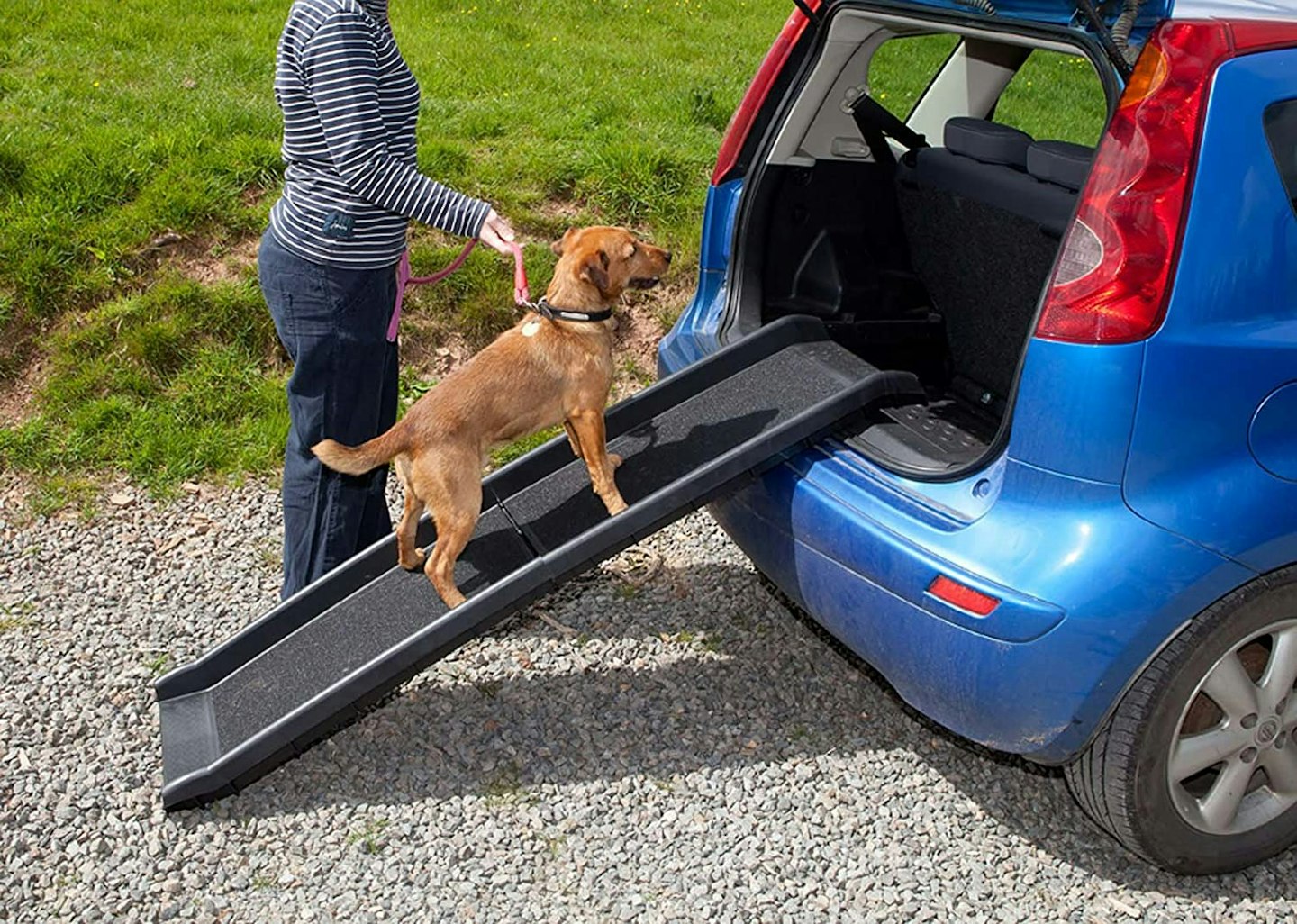 Easipet Pet Ramp for Dogs in Plastic, Folding Lightweight and Strong (Black)