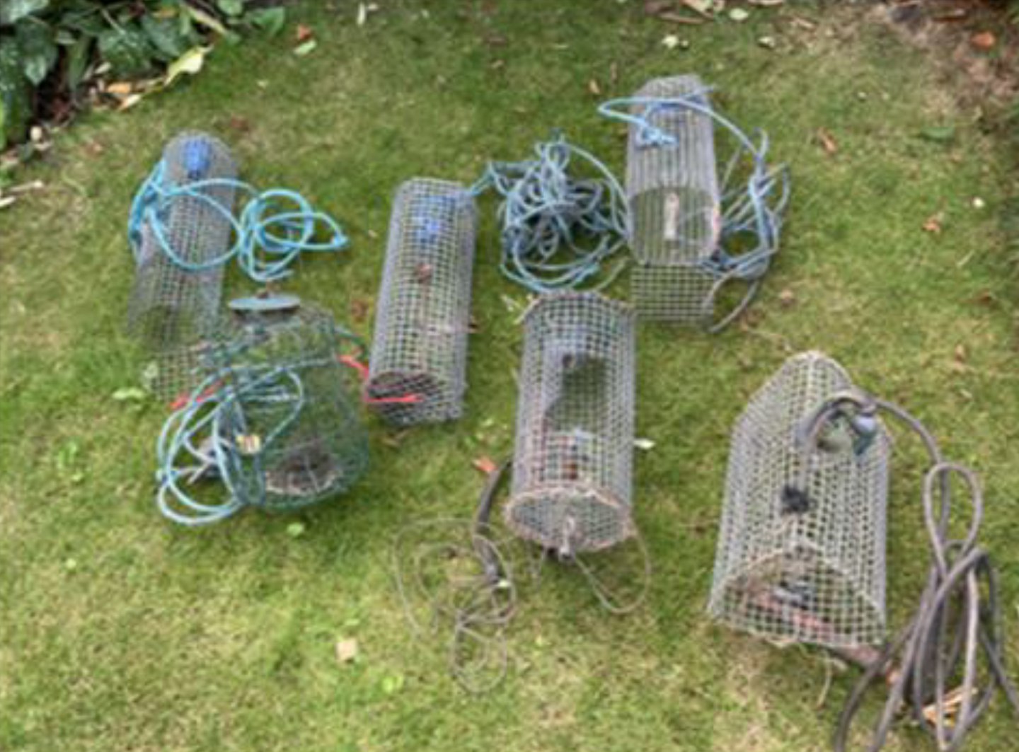 Deadly fish traps found in the River Skerne