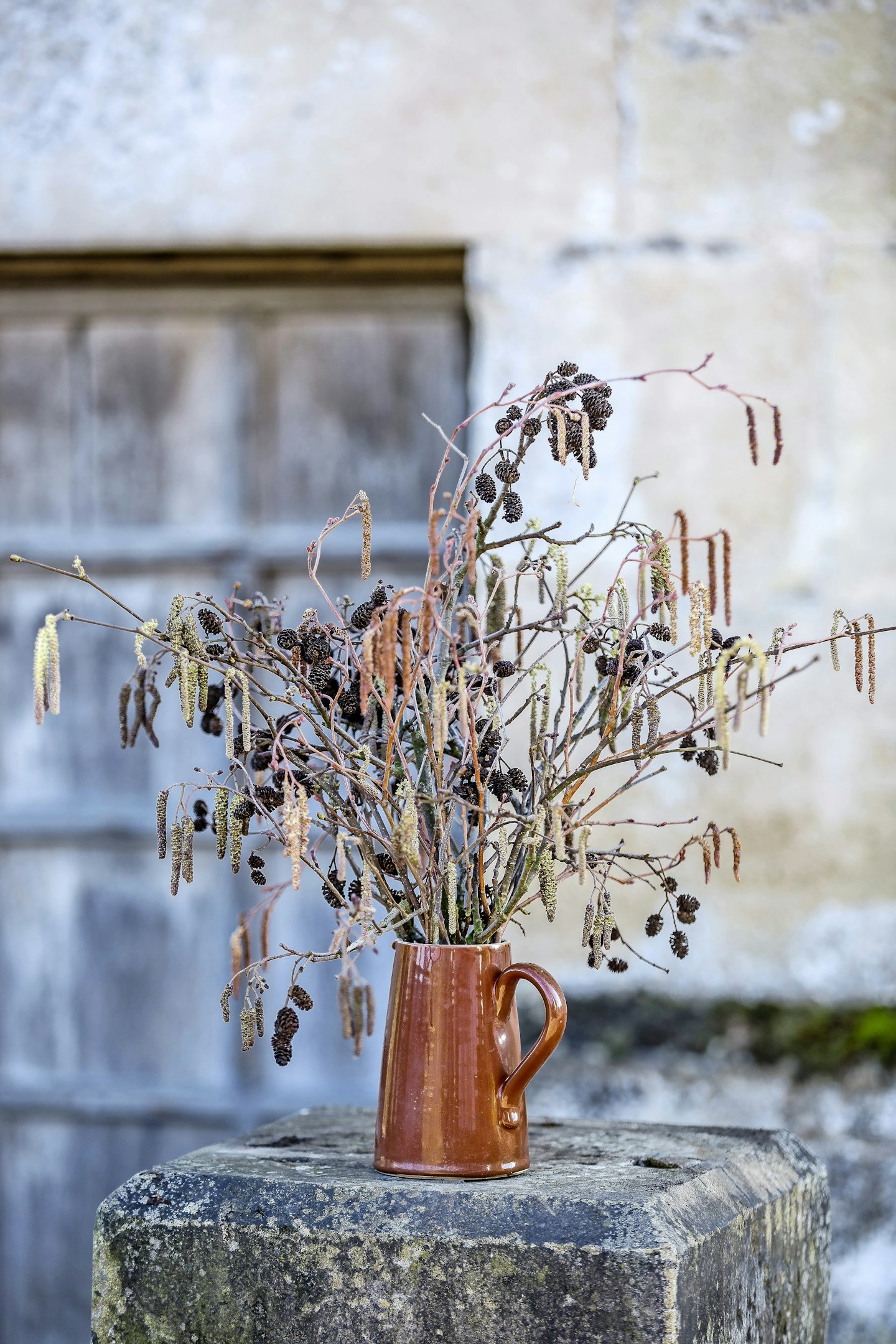 Catkins 1