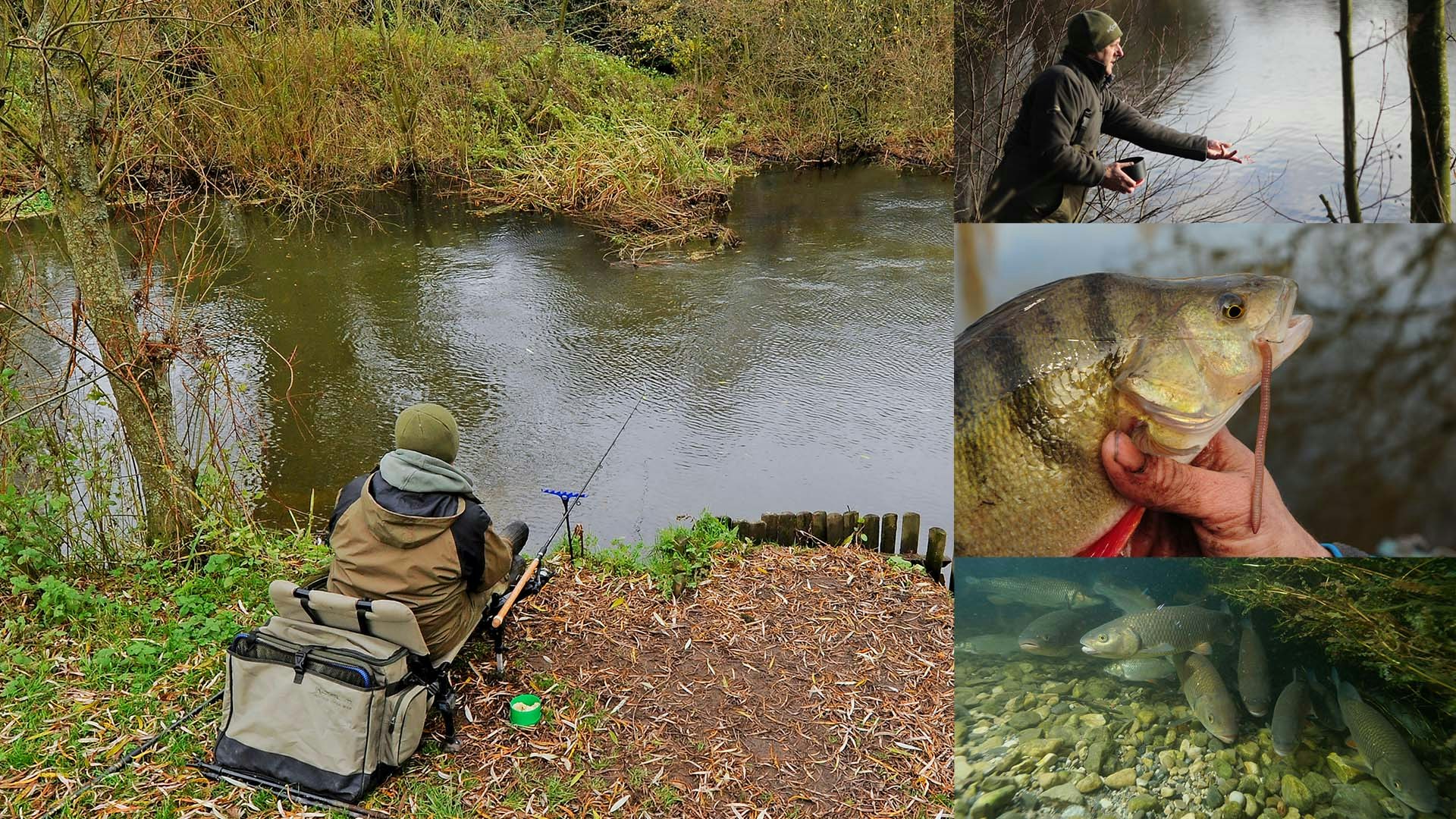The best features on rivers…and how to fish them! | Angling Times