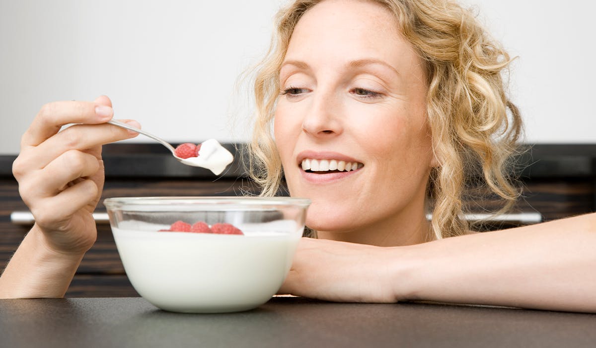 vonshef greek yoghurt maker