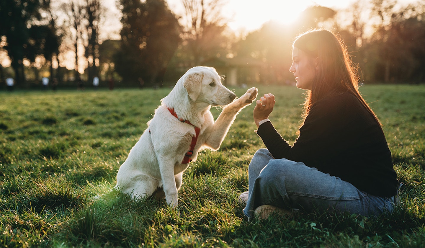 Young woman playing with her dog 