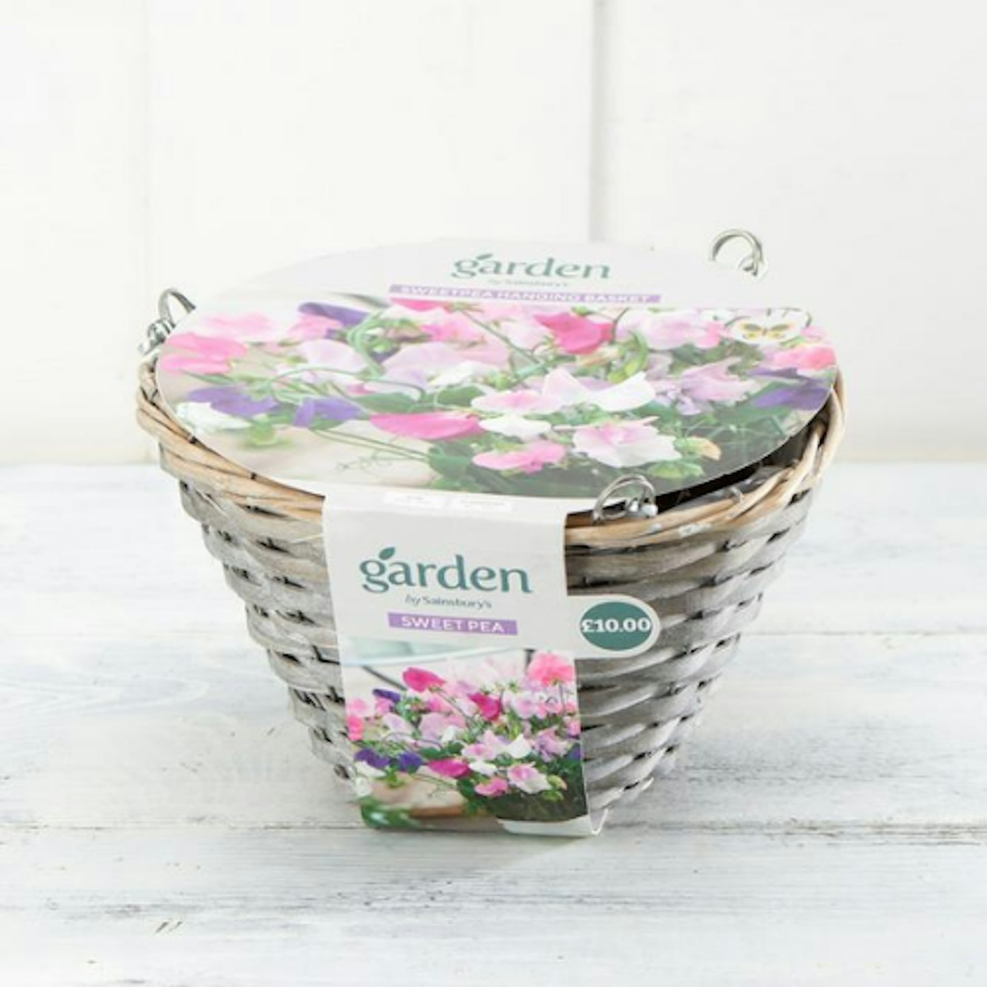 Sainsburyu2019s Hanging Basket Trailing Sweet Pea