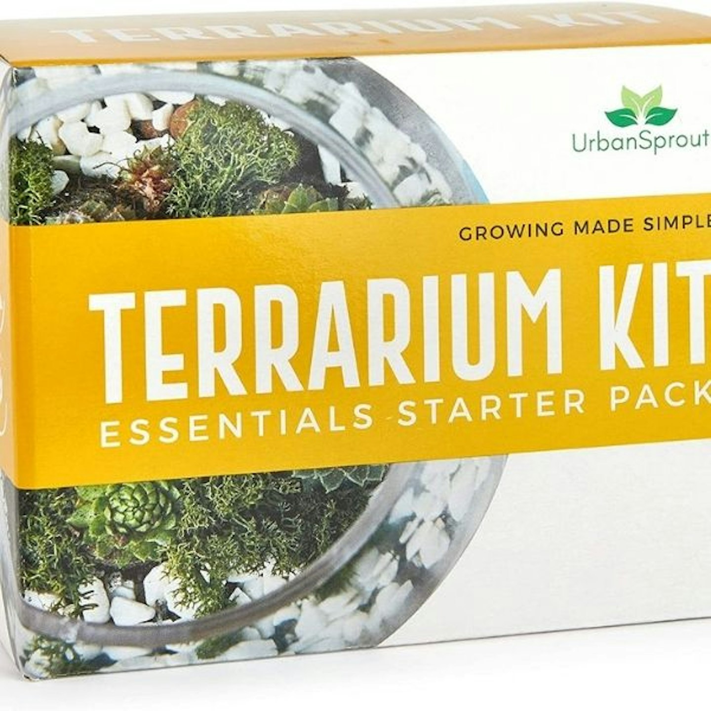 Plant Terrarium Kit for Succulent Plants and Cacti