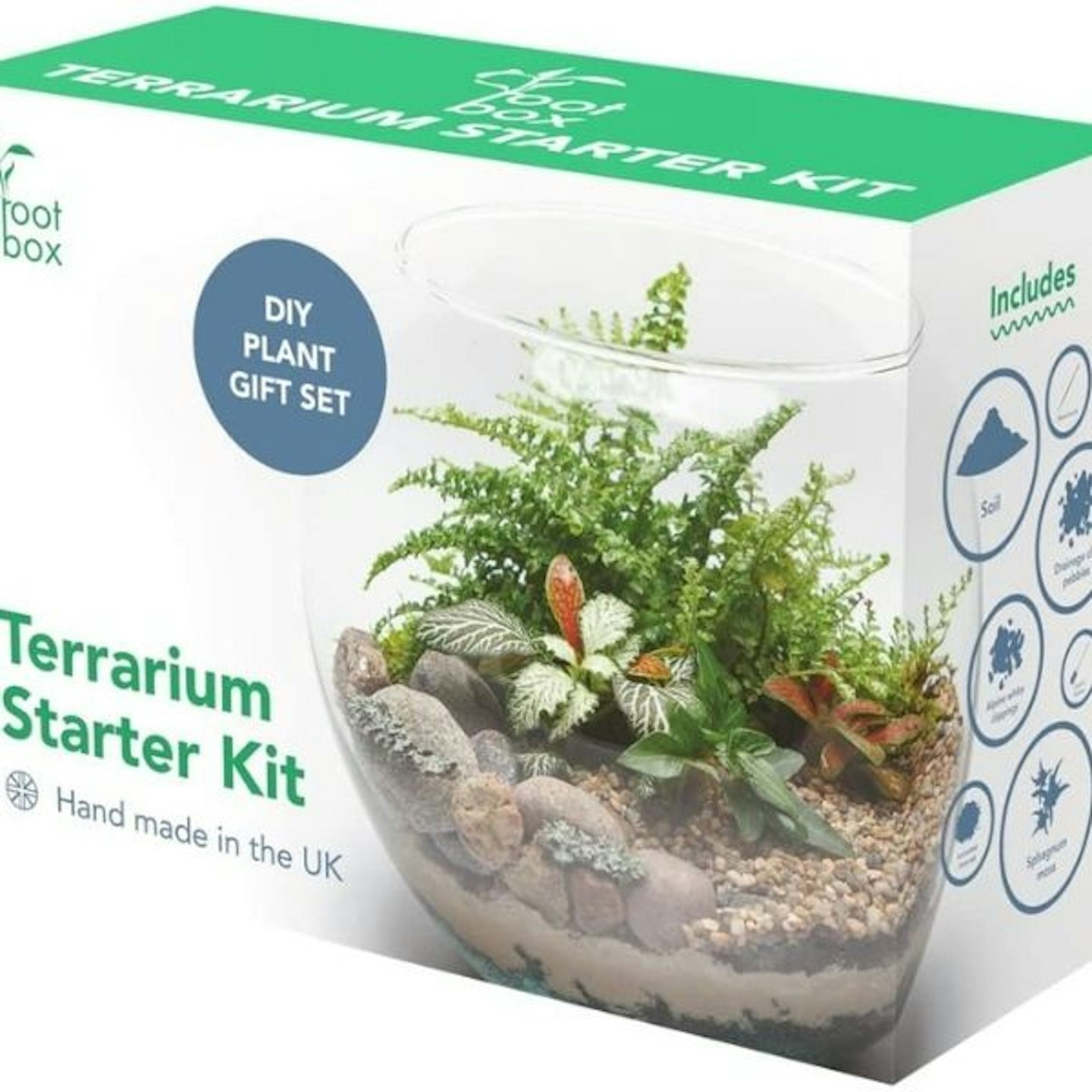 RootBoxu2122 Plant Terrarium Kit
