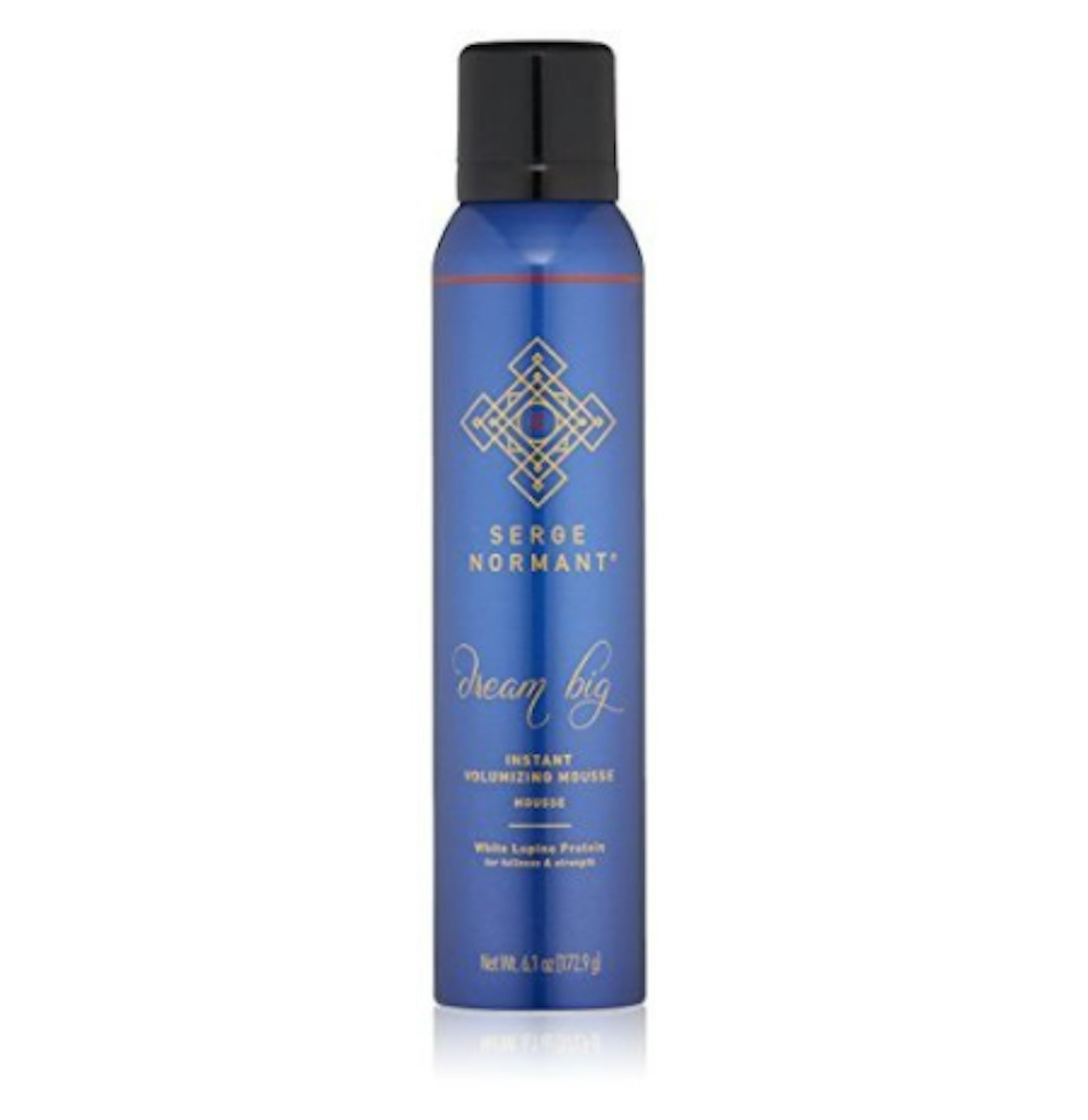 Serge Normant Dream Big Instant Volumizing Mousse