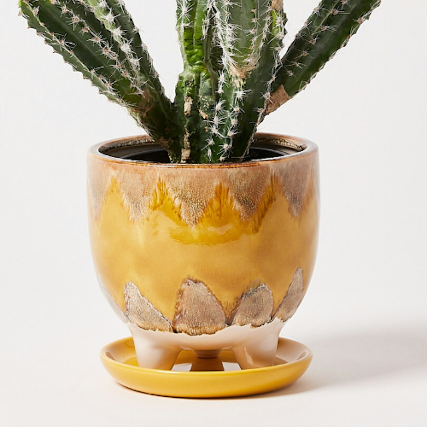 Oliver Bonas, Ulu Yellow Ceramic Saucer & Plant Pot, £22.50