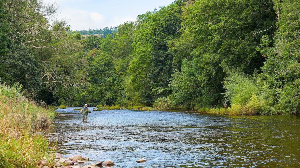 New multi-million project to help conserve Welsh rivers | Angling Times
