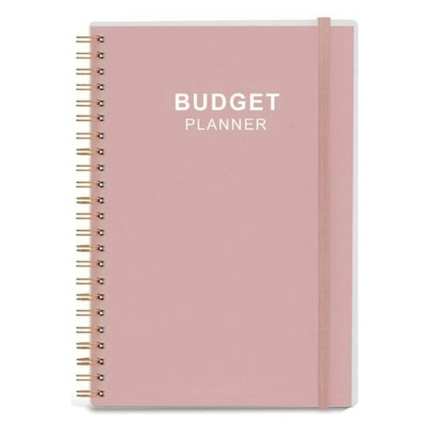 Budget Planner - Monthly Finance Organizer with Expense Tracker Notebook