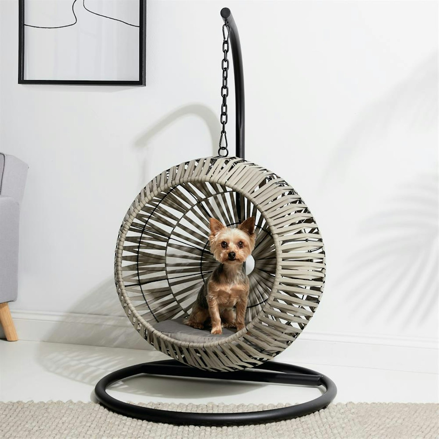 Home Bargains Paws & Pooches: Pet Swing