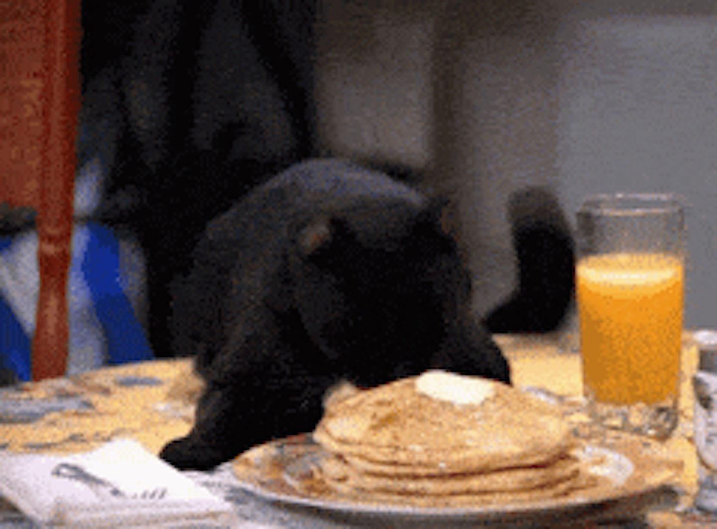 pancake day gif