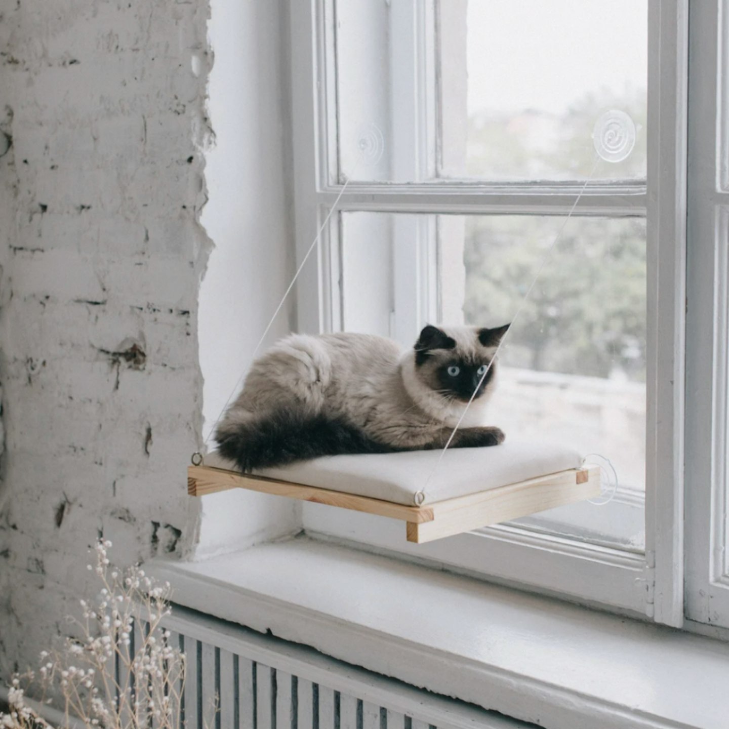 Wood Cat Window Shelf with Soft Replacement Cover